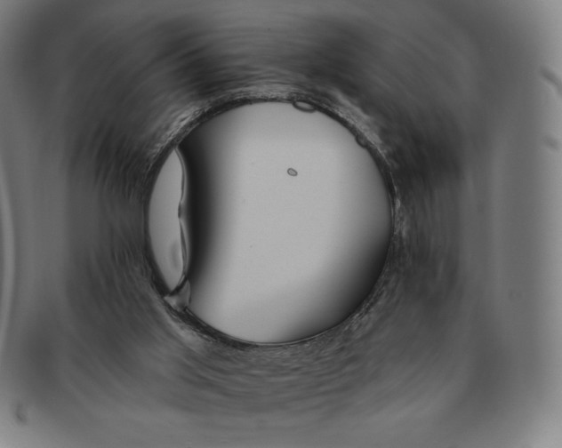 X0000090950013200708301150