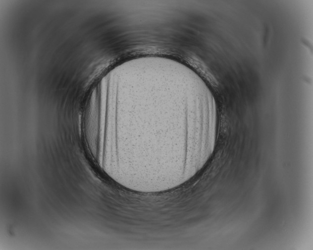 X0000090950014200708301150