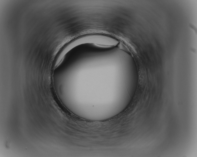 X0000090950015200708301150