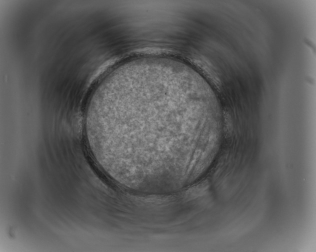 X0000090950016200708301150