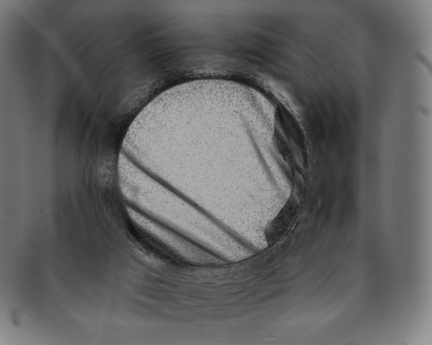 X0000090950017200708301150