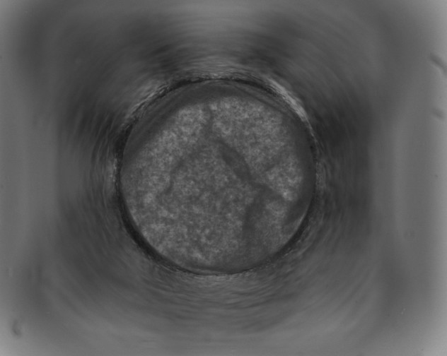 X0000090950018200708301150