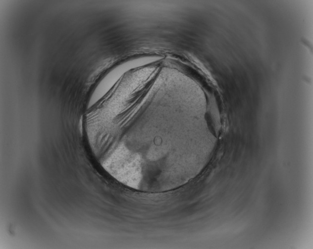 X0000090950019200708301150