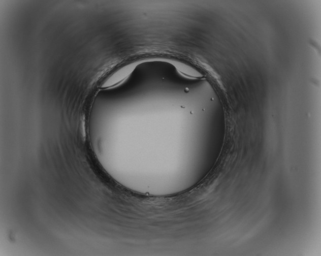X0000090950020200708301150