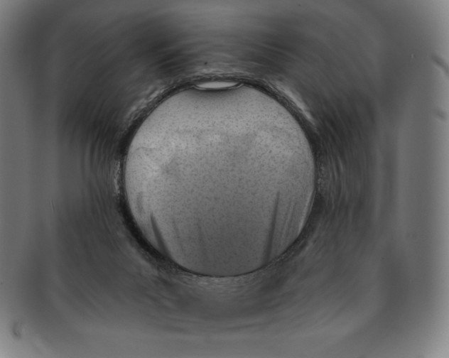 X0000090950023200708301150