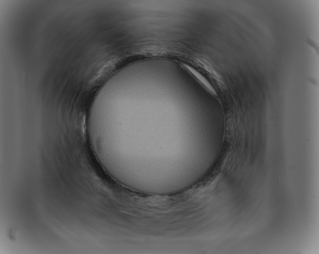 X0000090950024200708301150