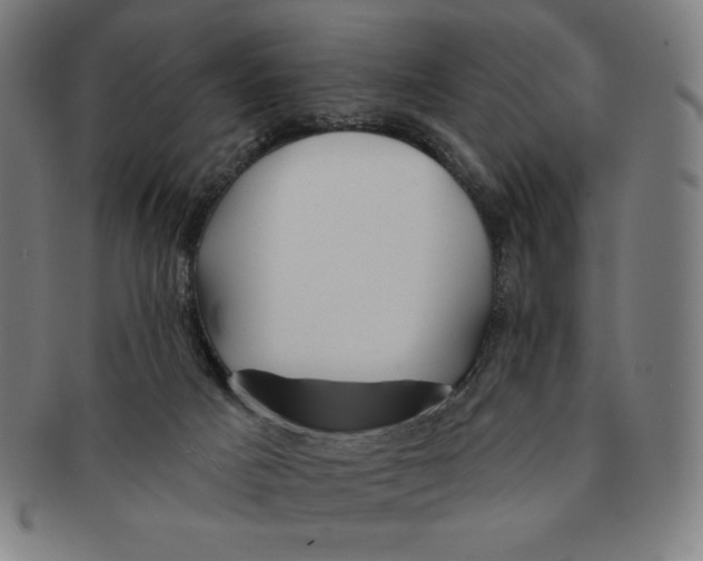 X0000090950025200708301150