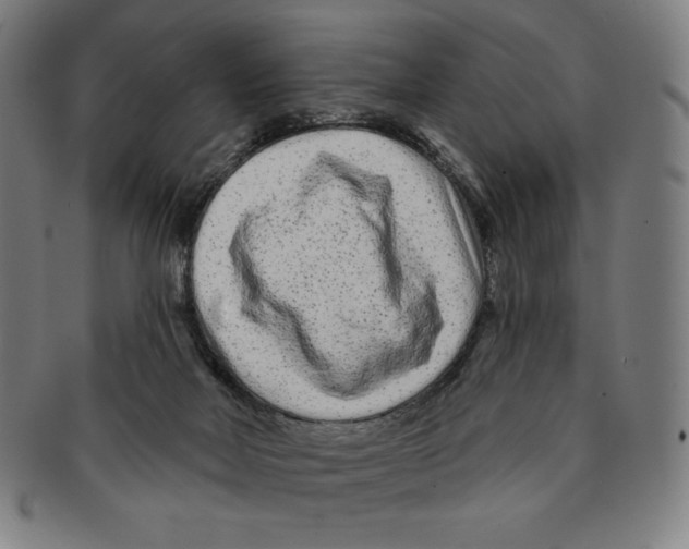 X0000090950026200708301150