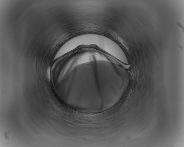 X0000090950027200708301150