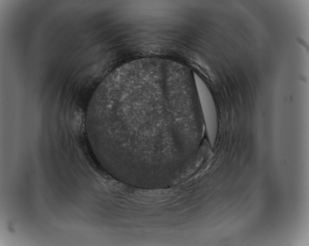 X0000090950029200708301150