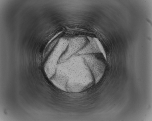 X0000090950030200708301150