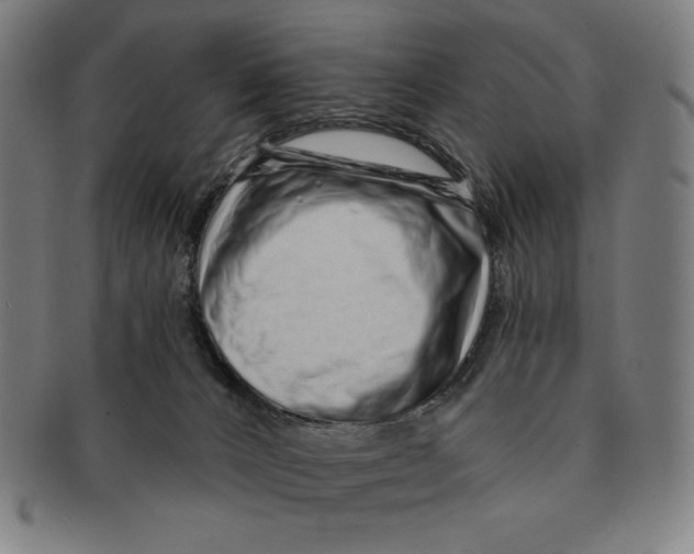 X0000090950032200708301150