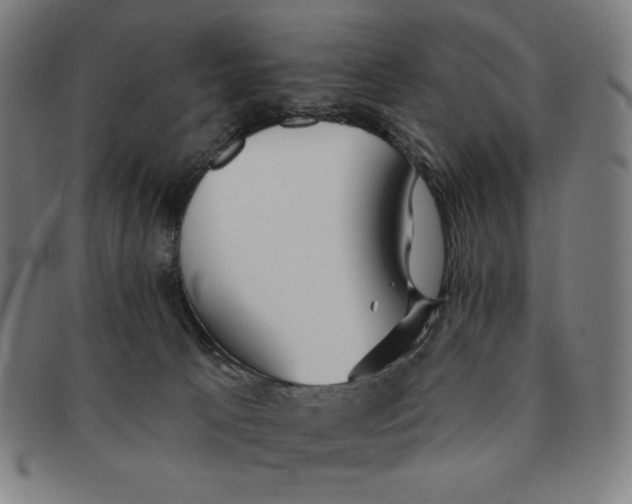 X0000090950033200708301150