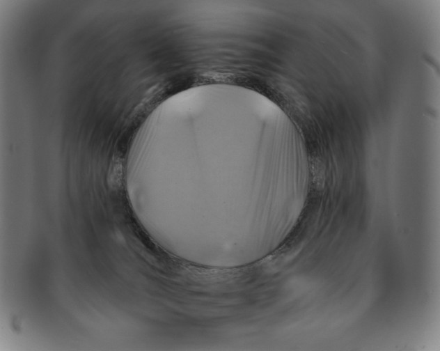 X0000090950036200708301150