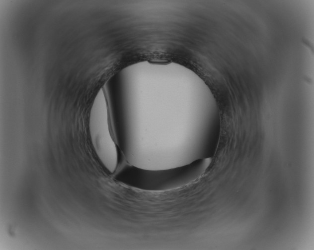 X0000090950037200708301150