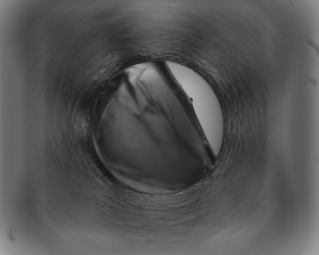 X0000090950039200708301150