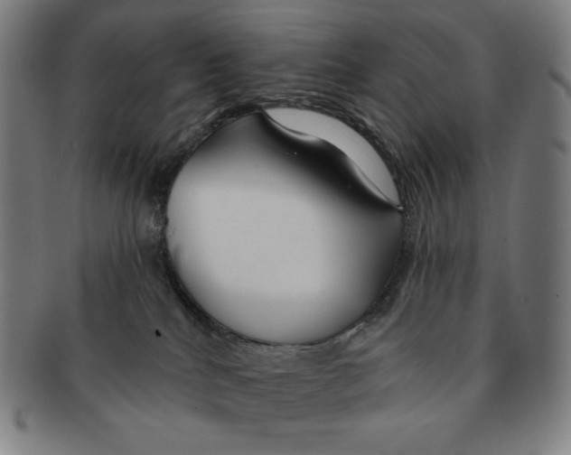 X0000090950040200708301149