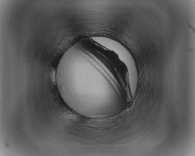 X0000090950041200708301149