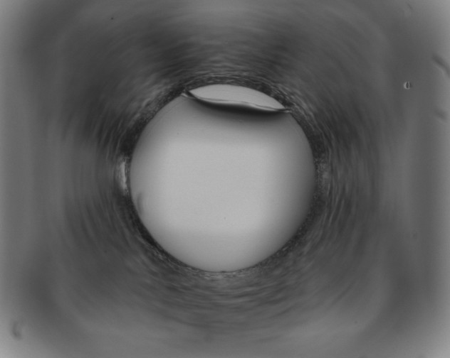 X0000090950042200708301149