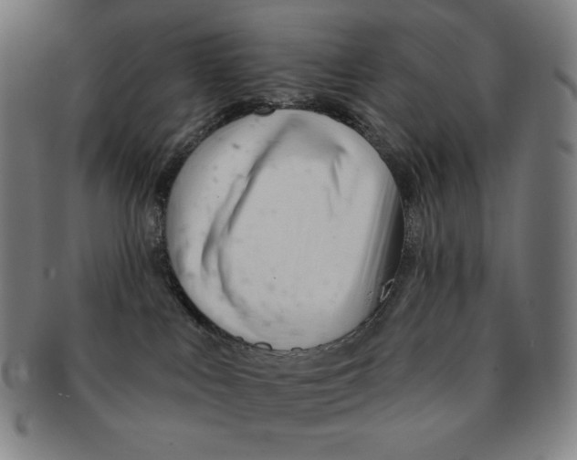 X0000090950043200708301149