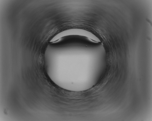 X0000090950044200708301149