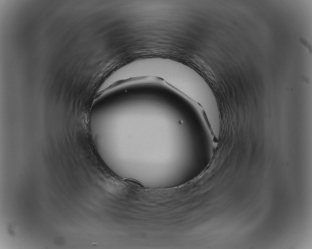 X0000090950045200708301149