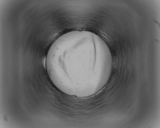 X0000090950047200708301149
