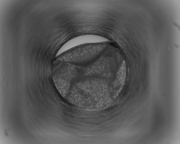 X0000090950048200708301149