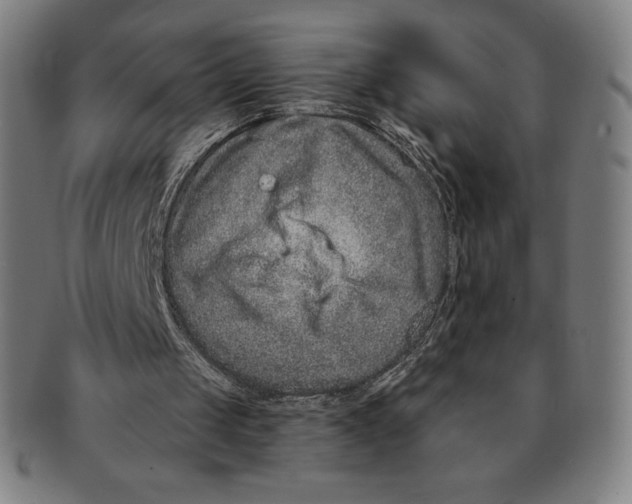 X0000090950049200708301149