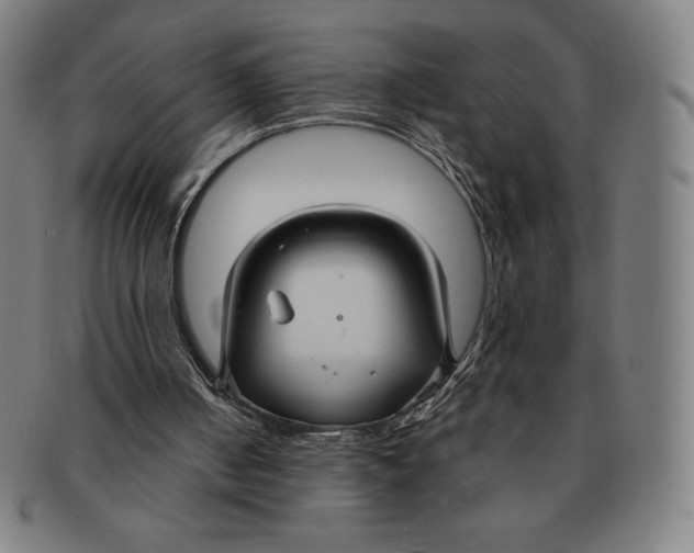 X0000090950050200708301149
