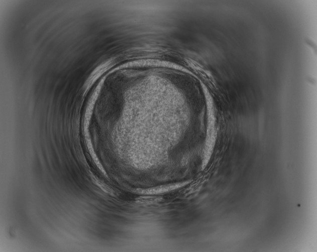 X0000090950051200708301149