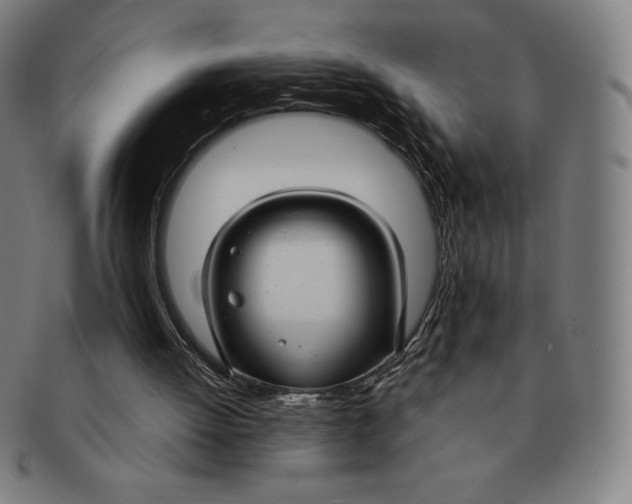 X0000090950052200708301149