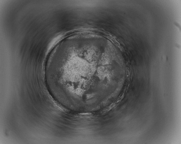 X0000090950053200708301149