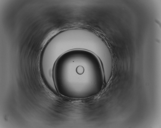 X0000090950054200708301149