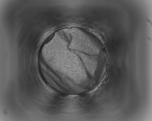 X0000090950055200708301149