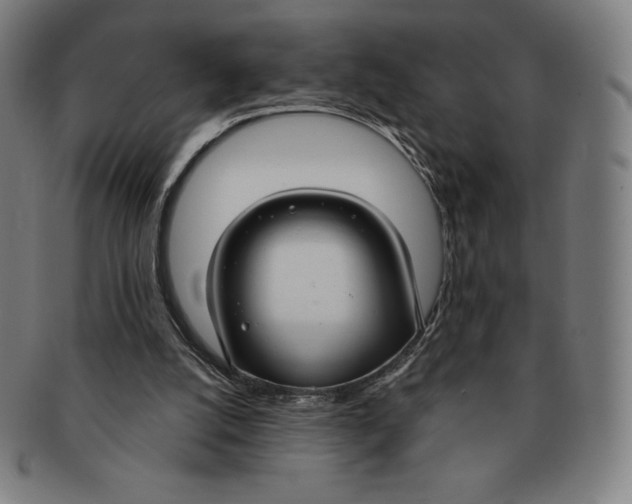X0000090950056200708301149
