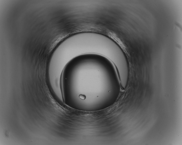 X0000090950058200708301149