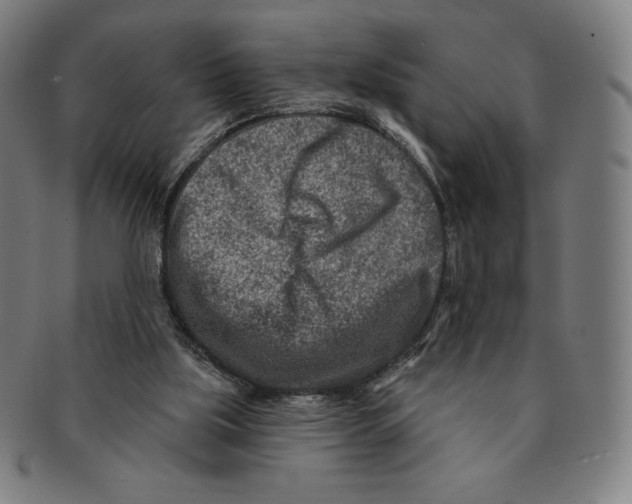 X0000090950059200708301149