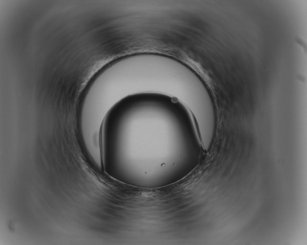 X0000090950060200708301149