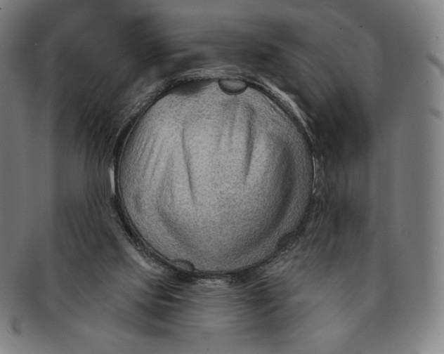 X0000090950061200708301149