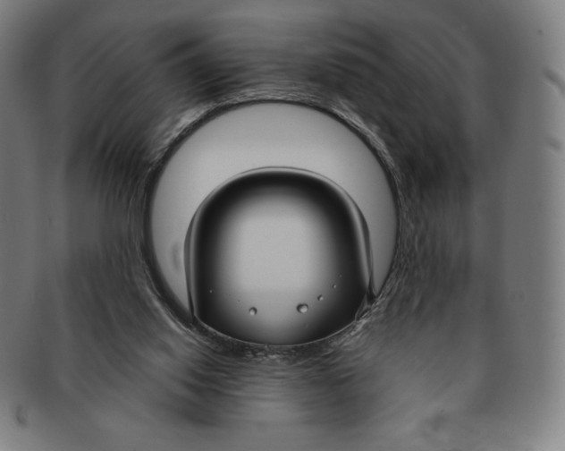 X0000090950062200708301149
