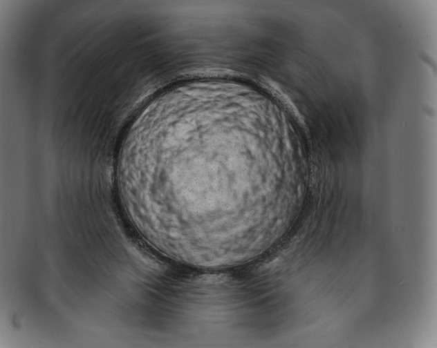 X0000090950063200708301149