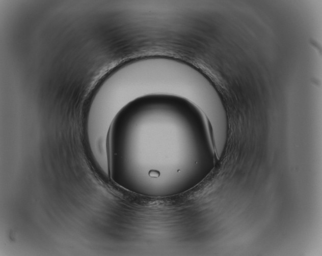 X0000090950064200708301149