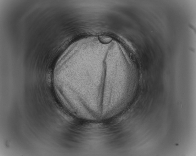 X0000090950065200708301149