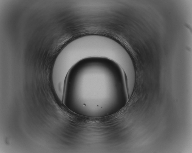 X0000090950066200708301149