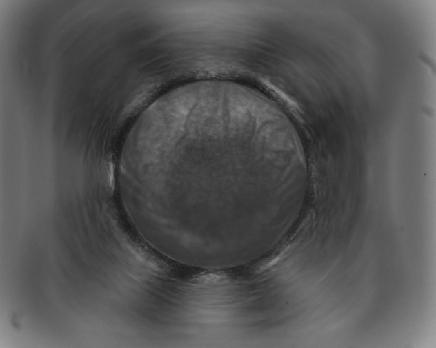 X0000090950067200708301149