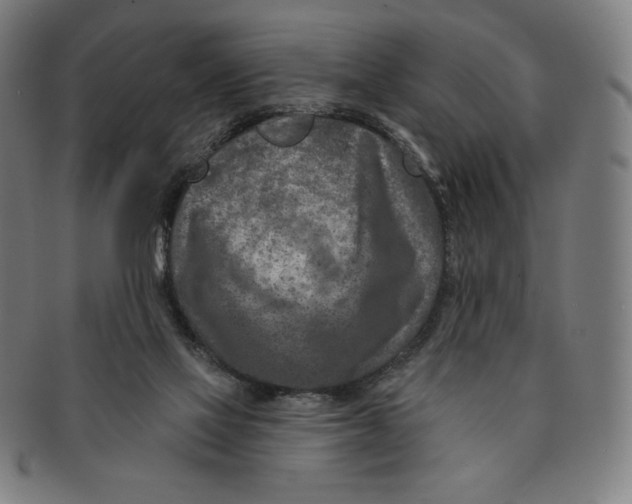X0000090950069200708301149