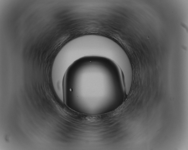 X0000090950070200708301149