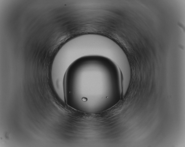 X0000090950072200708301149