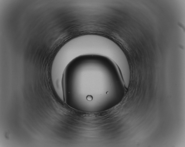 X0000090950074200708301149